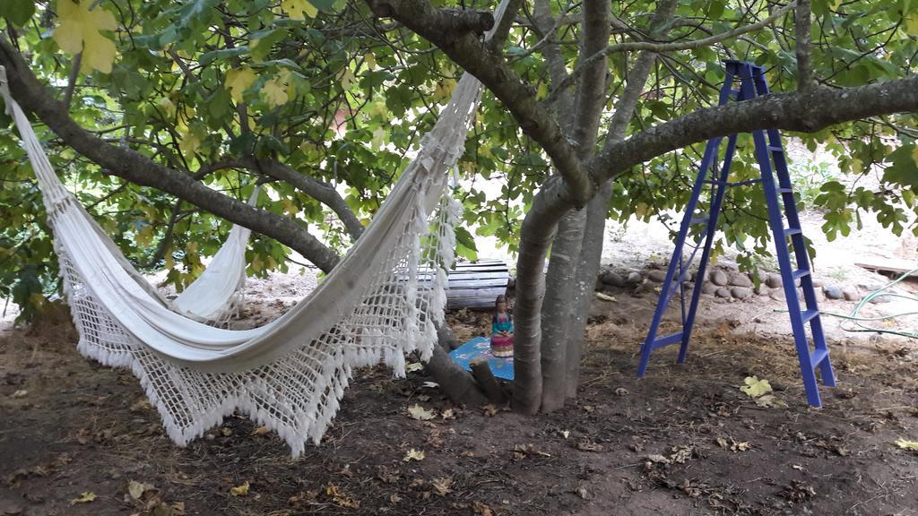 Cabana De Adobe En 拉佩尔湖 外观 照片